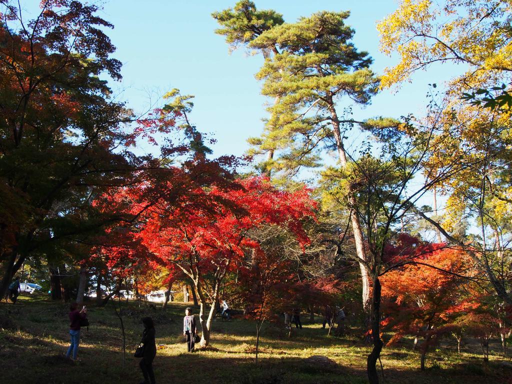 Inn Yokotei Nagatoro  Bagian luar foto