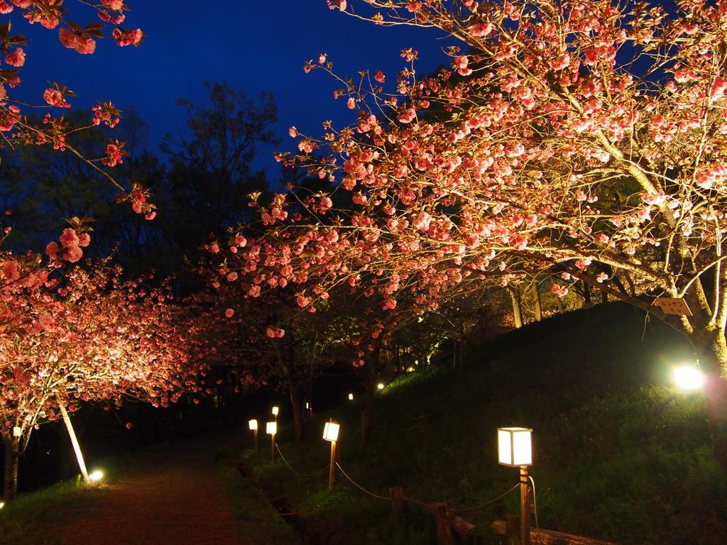 Inn Yokotei Nagatoro  Bagian luar foto